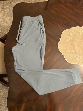 NWOTCozy Earth Joggers in beautiful gray green color. Best joggers on the planet
